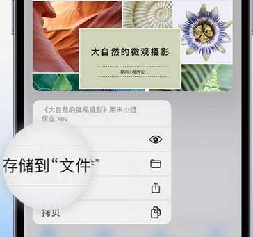 都匀apple维修中心分享iPhone文件应用中存储和找到下载文件
