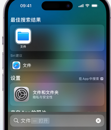 都匀apple维修中心分享iPhone文件应用中存储和找到下载文件 