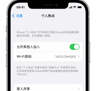 都匀apple服务站点分享iPhone上个人热点丢失了怎么办 