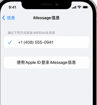 都匀apple维修iPhone上无法正常发送iMessage信息 