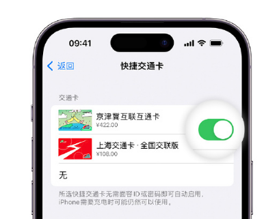 都匀apple维修点分享iPhone上更换Apple Pay快捷交通卡手绘卡面 