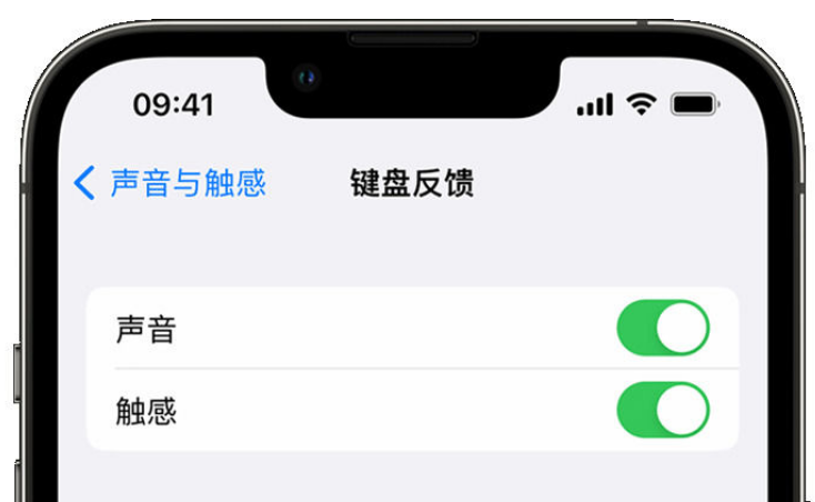 都匀苹果手机维修分享iPhone 14触感键盘使用方法 