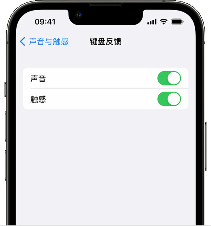 都匀苹果14维修店分享如何在 iPhone 14 机型中使用触感键盘 