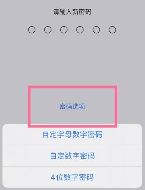 都匀苹果14维修分享iPhone 14plus设置密码的方法 