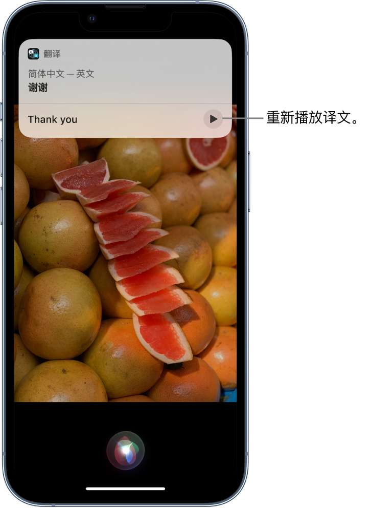 都匀苹果14维修分享 iPhone 14 机型中使用 Siri：了解 Siri 能帮你做什么 