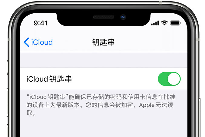 都匀苹果手机维修分享在 iPhone 上开启 iCloud 钥匙串之后会储存哪些信息 