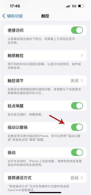 都匀苹果手机维修分享iPhone手机如何设置摇一摇删除文字 